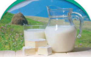 Означување на млеко и млечни производи